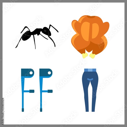 leg icon. ant and fried chicken vector icons in leg set. Use this illustration for leg works.