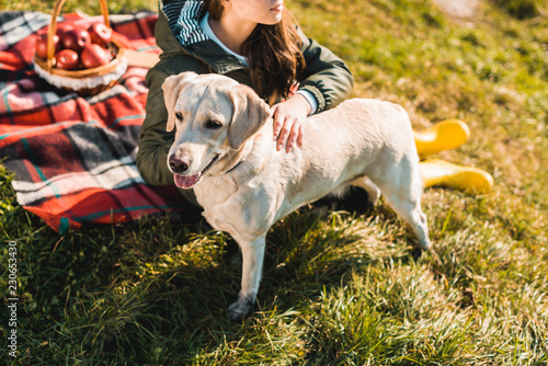 cropped image of woman sitting on blanket and adjusting dog collar on golden retriever in park © LIGHTFIELD STUDIOS