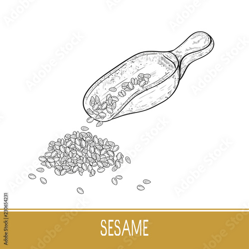 Sesame. Seed, scoop. Leaves, grain, seed. Ladle. scoop. Sketch. On a white background. Monochrome.