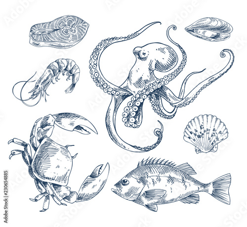 Seafood Sketch Illustration Monochrome Poster