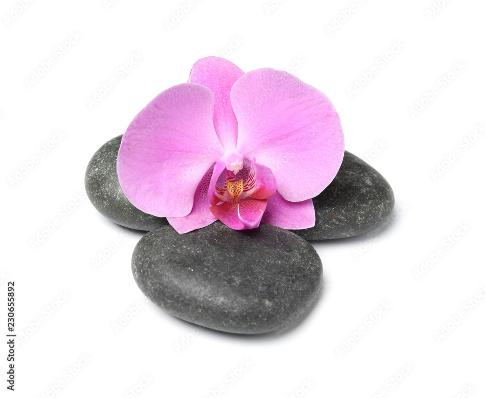 Obraz premium Spa stones with orchid flower on white background