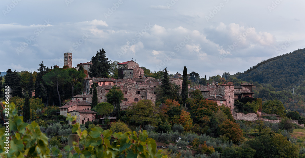 Borgo di Montefioralle visto dal basso dai vigneti sottostanti