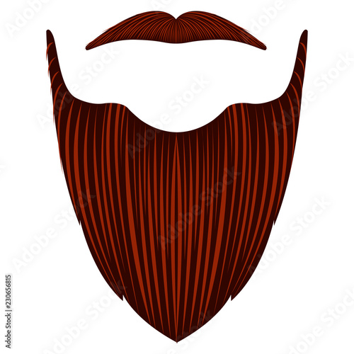 Isolated detailed beard image. Vector illustration design