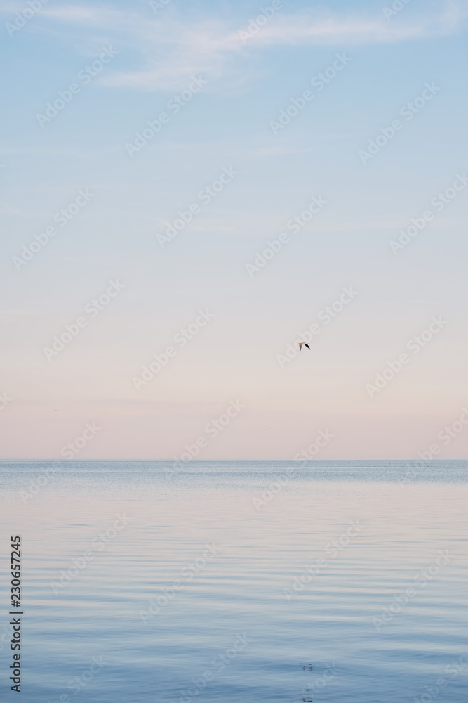 Flock of white seagulls chilling and floating on the surface and wave of blue sea water. Flock of white seagulls chilling and floating on the surface and wave of blue sea water.