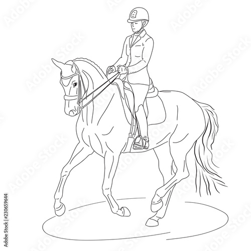 Fototapeta Naklejka Na Ścianę i Meble -  A sketch of a dressage rider on a horse executing the pirouette.