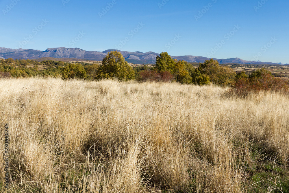 Autumnal landscape view with mountains in the background -