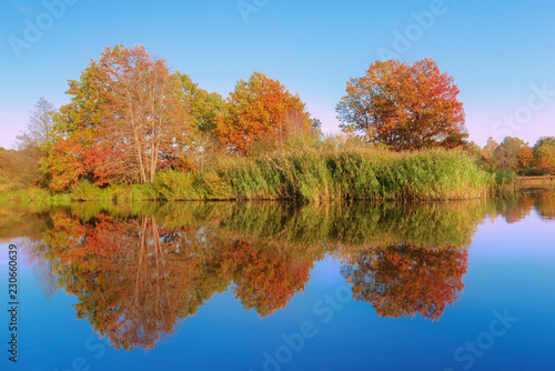 Landscape with autumn color trees reflection in river.