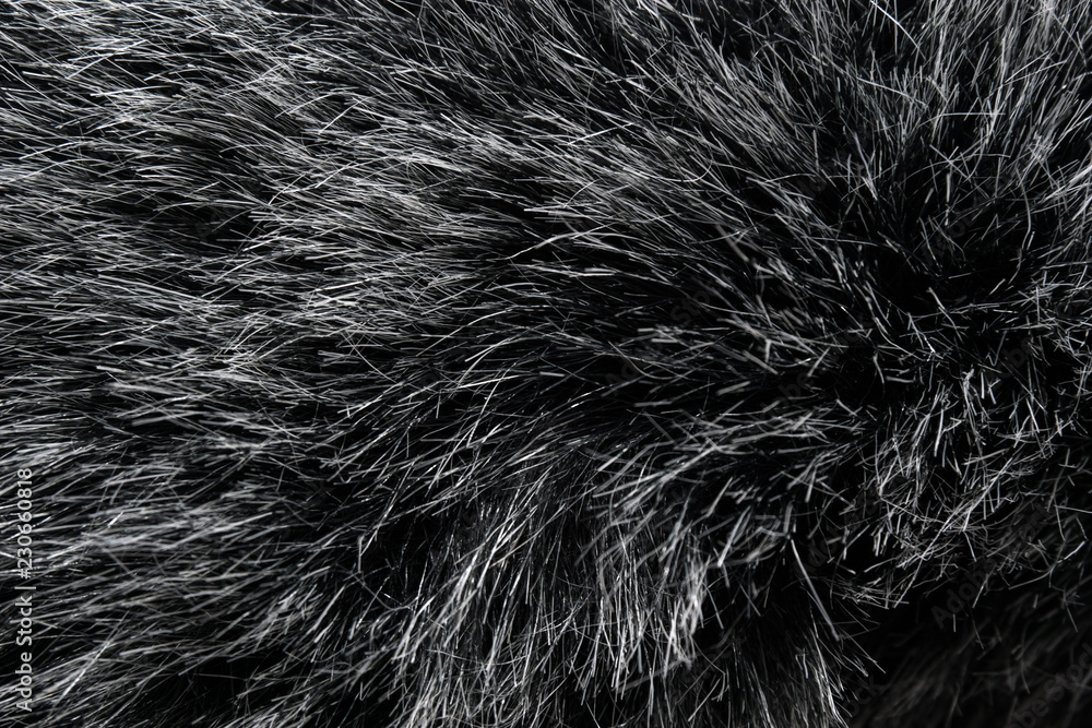 Black and white animal wool texture background, grey natural mink wool, close-up texture of plush dark fur Black and white animal wool texture background, grey natural mink wool, close-up texture of plush dark fur