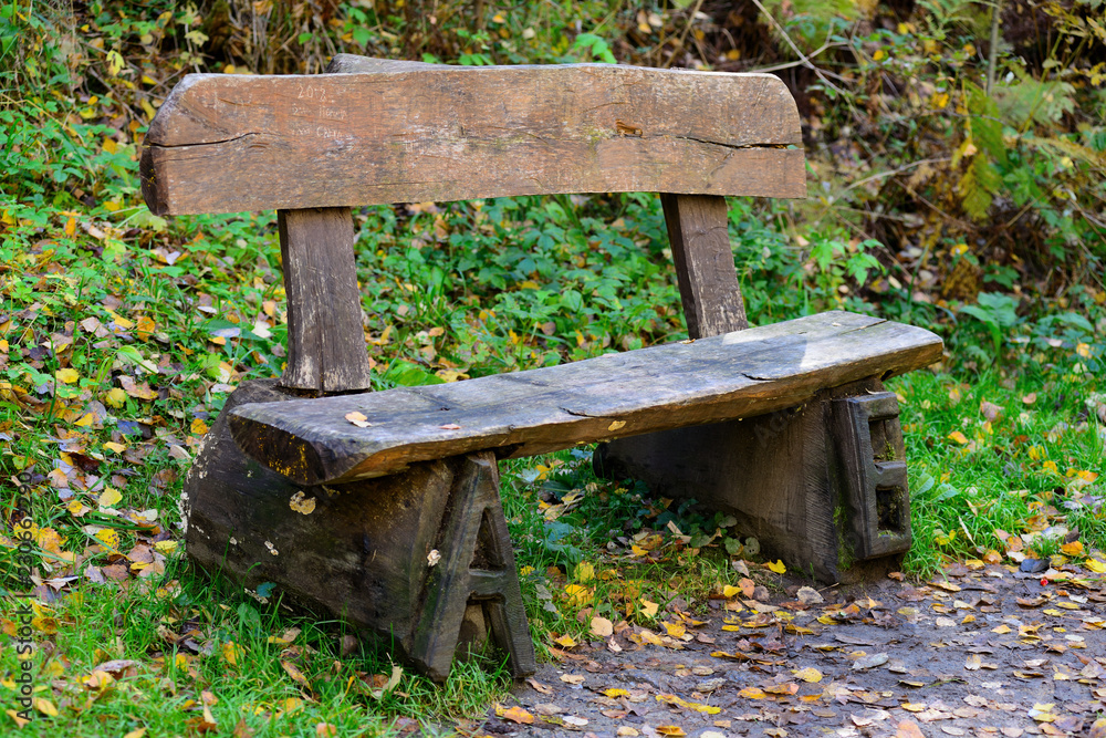 bench in nature bench in nature