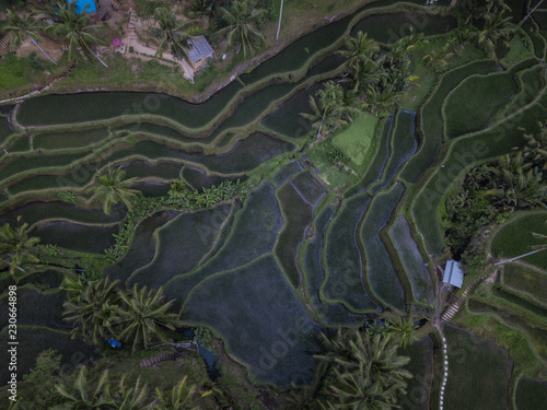 Water covers a large area of the rice terraces for new growth of rice at the Tegallalang Rice Fields in Bali, Indonesia