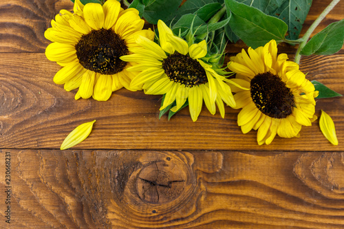 Fototapeta Naklejka Na Ścianę i Meble -  Decorative sunflowers on the wooden background