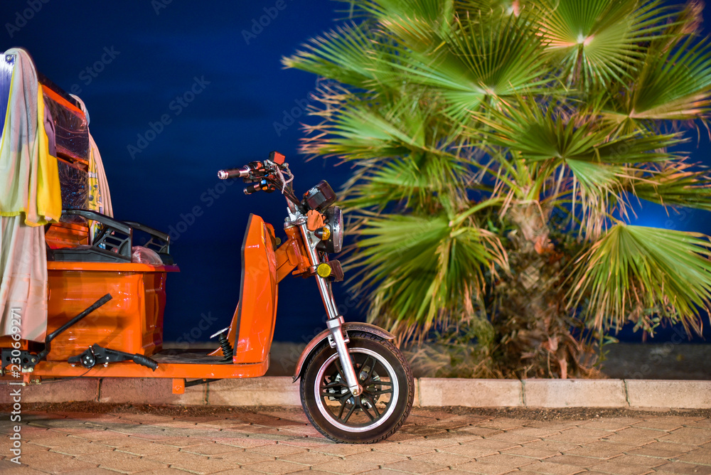 Rickshaw on night coast on background palm tree