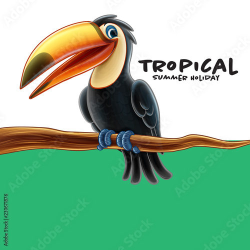 Tucan illustration summer