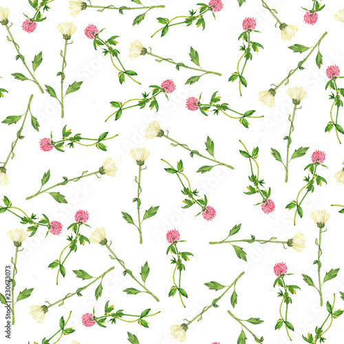 Wallpaper Mural Seamless pattern with pink clover and camomile flowers on white background. Hand drawn watercolor illustration. Torontodigital.ca