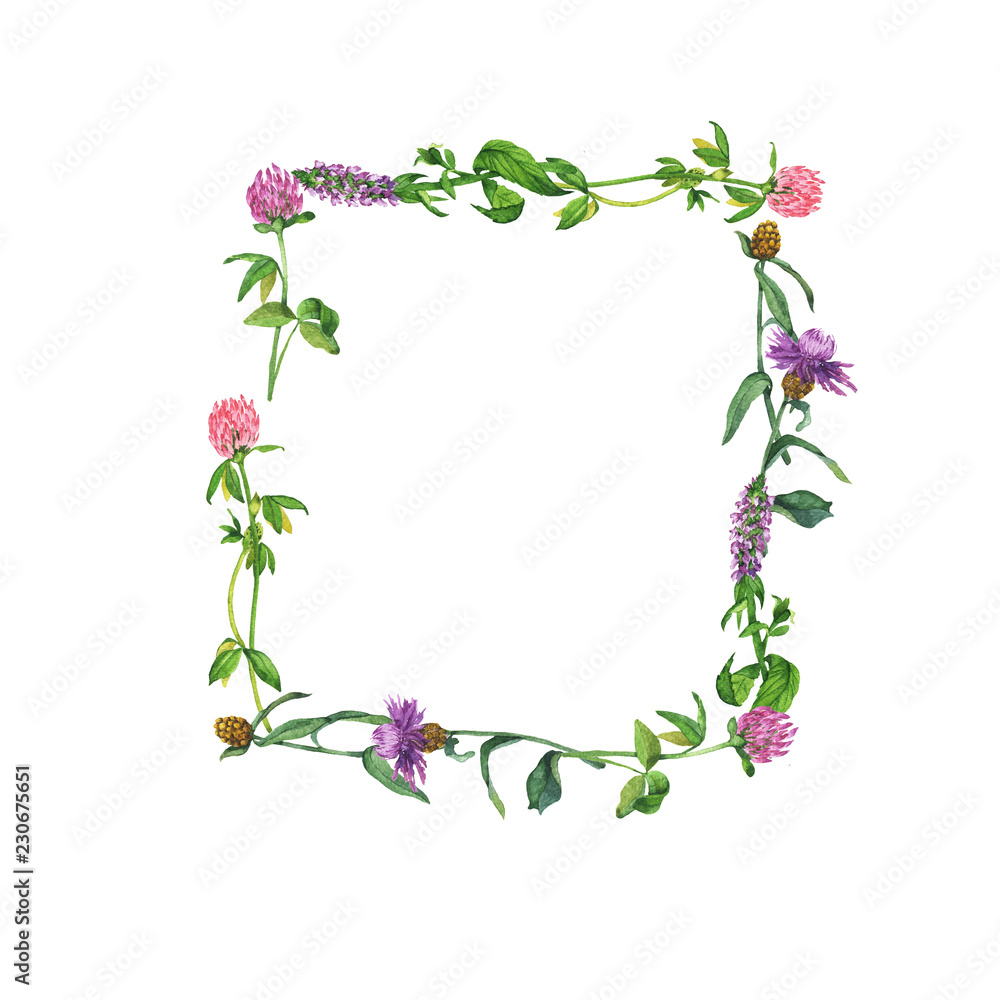Summer wild flowers border isolated on white background. Hand drawn watercolor illustration.