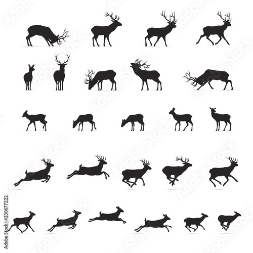 Deer Silhouettes