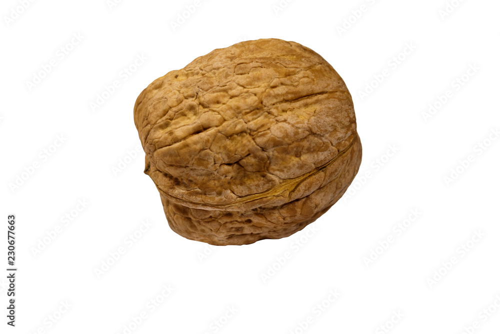 Single large walnut isolated on white background Single large walnut isolated on white background