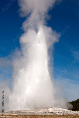 old faithful geyser in yellowstone