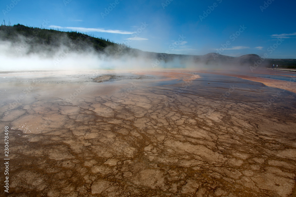 geyser in yellowstone