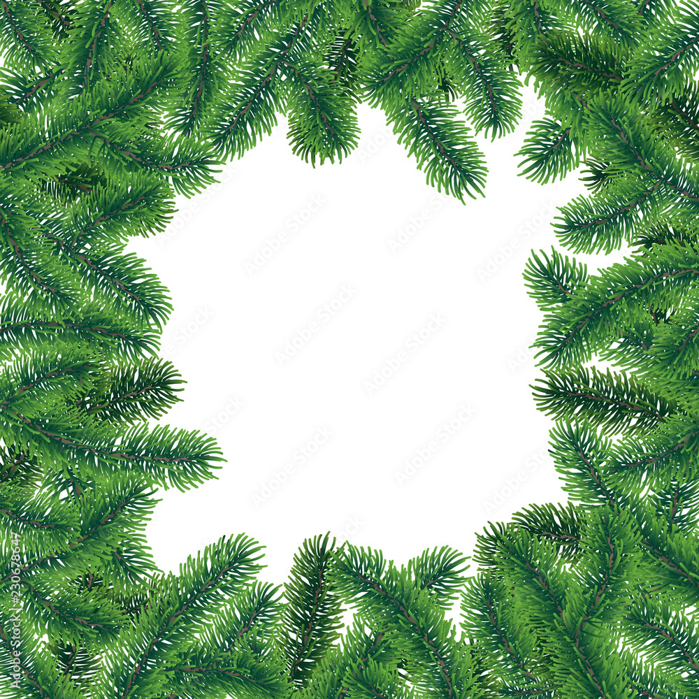 Vector winter frame poster with coniferous tree branches with needle leaves on white background. Vector winter frame poster with coniferous tree branches with needle leaves on white background.