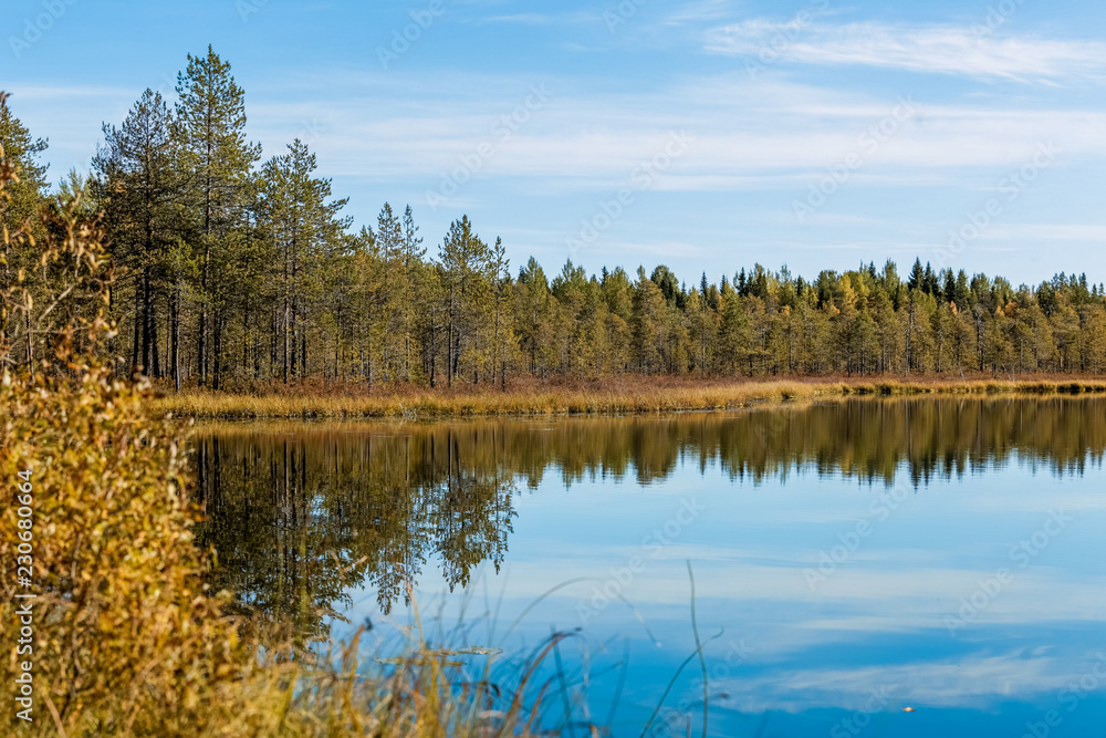 The Pinega River. Golden autumn in the Russian North.