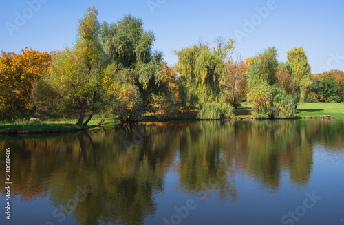 Beautiful summer landscape with a coastline of trees and reflections in the water. 