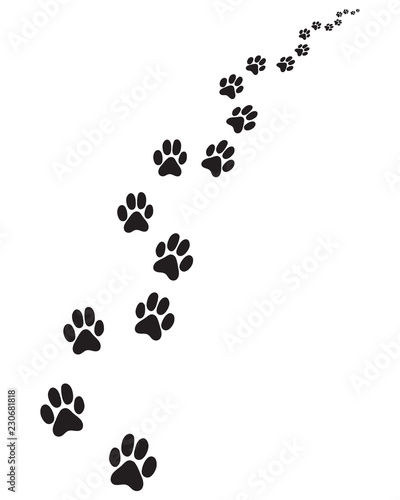 Footprints of dog, turn right or left