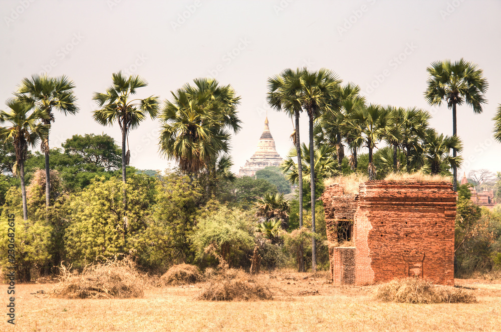 Early morning view over the temples of Bagan, a historical site in Myanmar
Early morning view over the temples of Bagan, a historical site in Myanmar