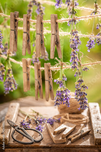 Fototapeta Naklejka Na Ścianę i Meble -  Violet and green lavender dried on laundry lines