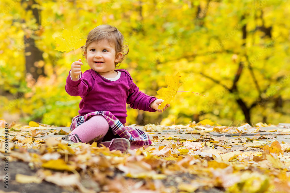 Happy Cute Little Child Sitting in the Autumn Park Playing with the Leaves Happy Cute Little Child Sitting in the Autumn Park Playing with the Leaves