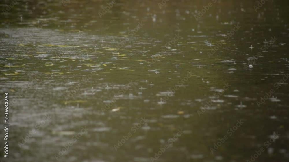 rainy weather in the park rainy weather in the park