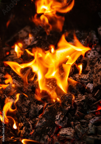 Close up shot of burning firewood in the fireplace