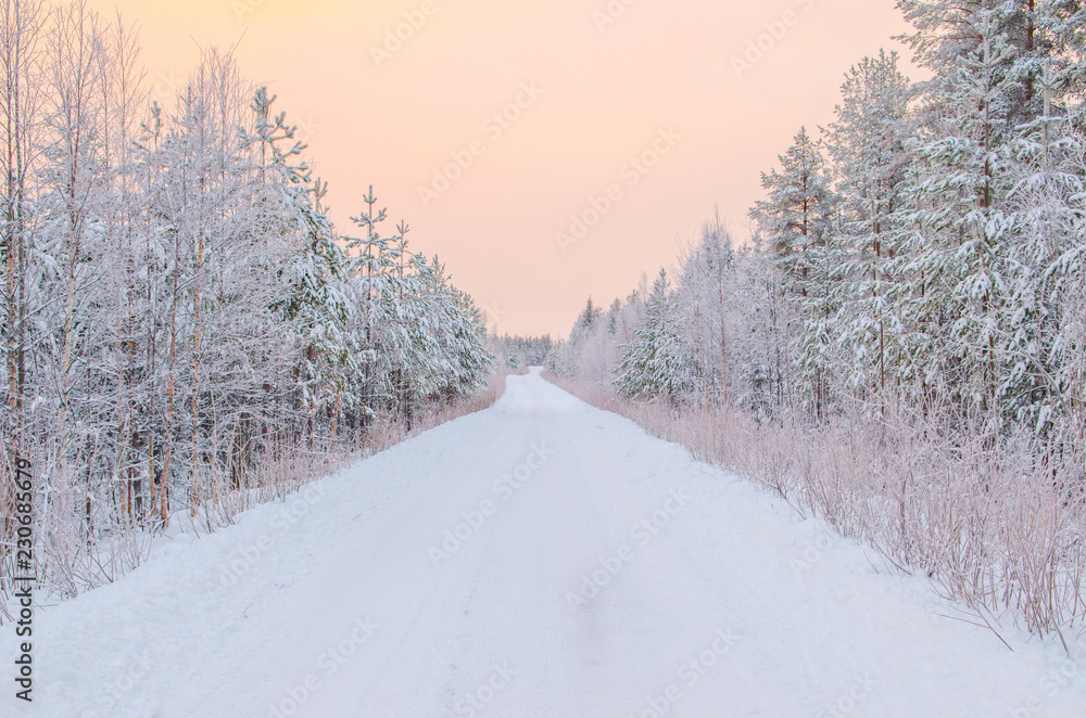 Obraz premium Winter Lapland landscape