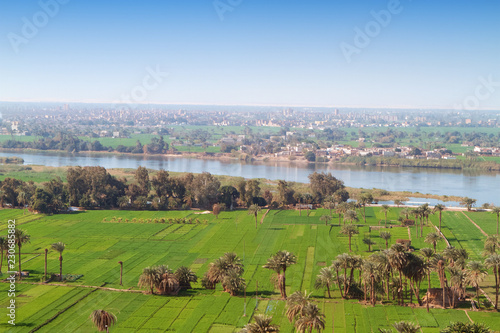 Cuadro en lienzo The agriculture in Egypt is concentrated in the Nile river valley, here in the region of El Minyah, Middle Egypt