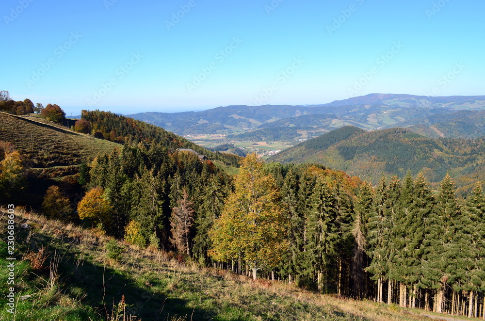 Hinterwaldkopf im Herbst