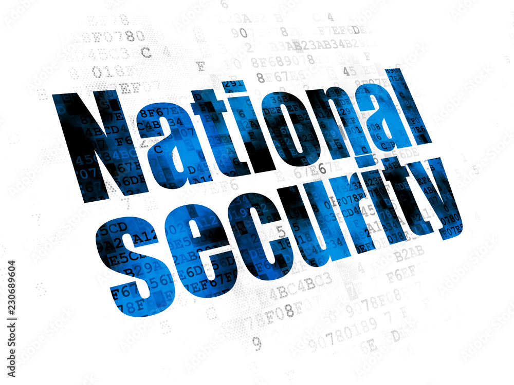 Security concept: Pixelated blue text National Security on Digital background Security concept: Pixelated blue text National Security on Digital background