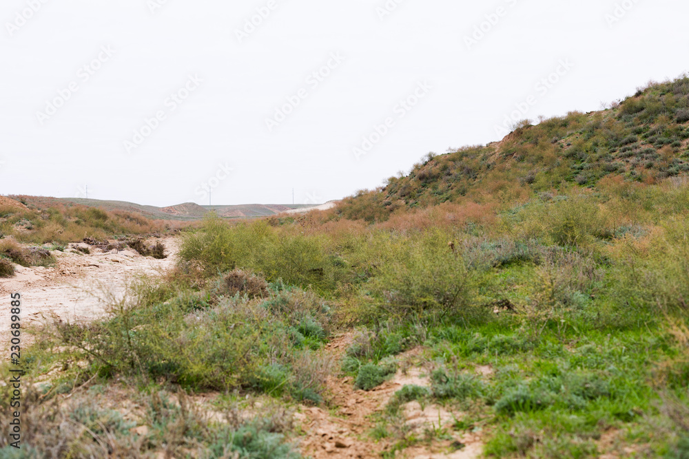 Steppe in autumn, daylight, sand and dry grass Steppe in autumn, daylight, sand and dry grass