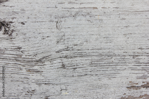 Grunge Wooden Texture Background of Natural White and Light Grey Timber Pattern. Rustic Weathered Wood Surface, Aged Abstract Background and Empty Vintage Style Copy Space to Use as Template