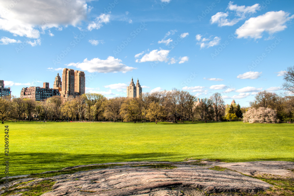 Central Park in downtown Manhattan with the New York City skyline in the background