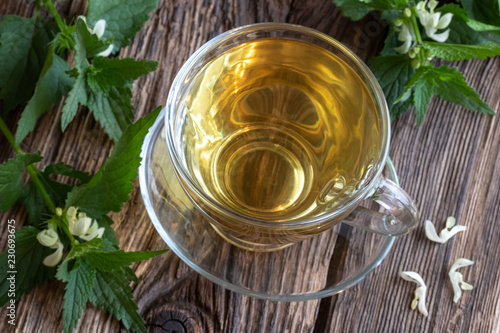 A cup of white dead-nettle tea with blooming dead-nettles