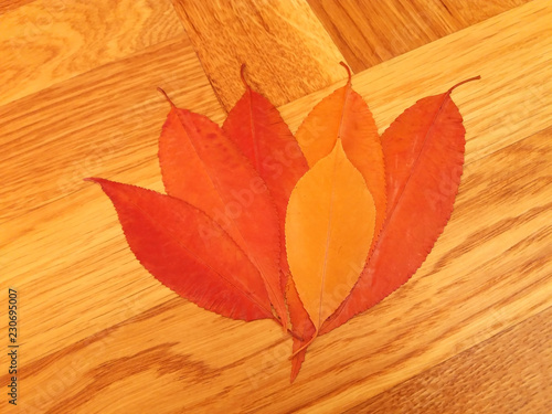 Obraz na plátně Dry colored leaves on old wooden background close up