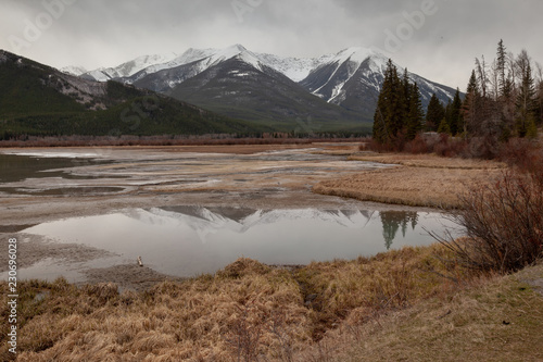 View and reflections of snow cappped mountain range and forest at Vermilion Lakes in early spring, overcast and cold Banff National Park Canada photo