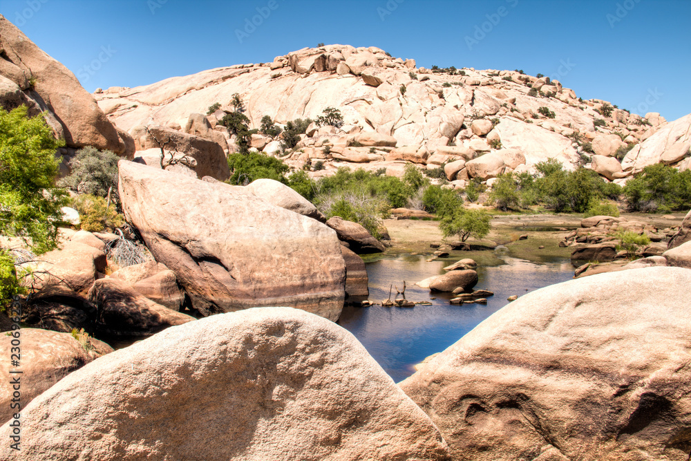 Joshua Tree National Park with its typical trees and rock formations near Palm Springs in the California desert in the USA
