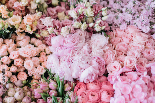 Fototapeta Naklejka Na Ścianę i Meble -  Beautiful blossoming flower bed of freshly delivered flowers at the florist shop: peonies, roses, ranunculus, tulips, carnations,eustoma lisianthks, hydrangea in tender pink colours, top view