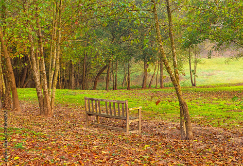 Bench in the garden in autumn