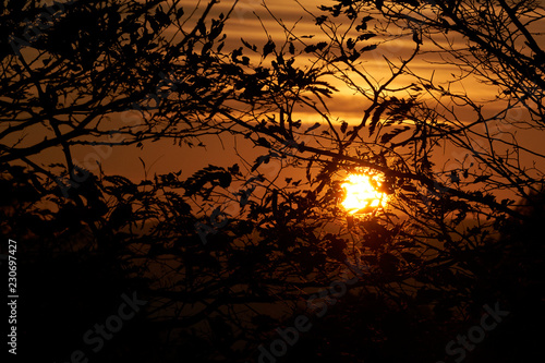 Sonnenuntergang in Wien