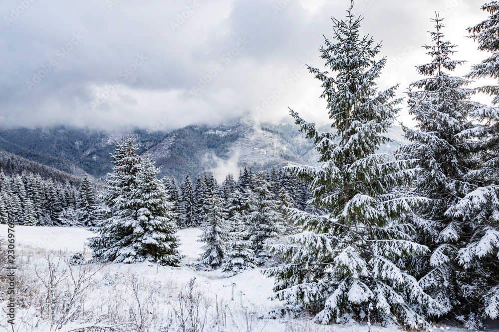 Fototapeta premium Winter mountain landscape in Tatras. Slovakia.