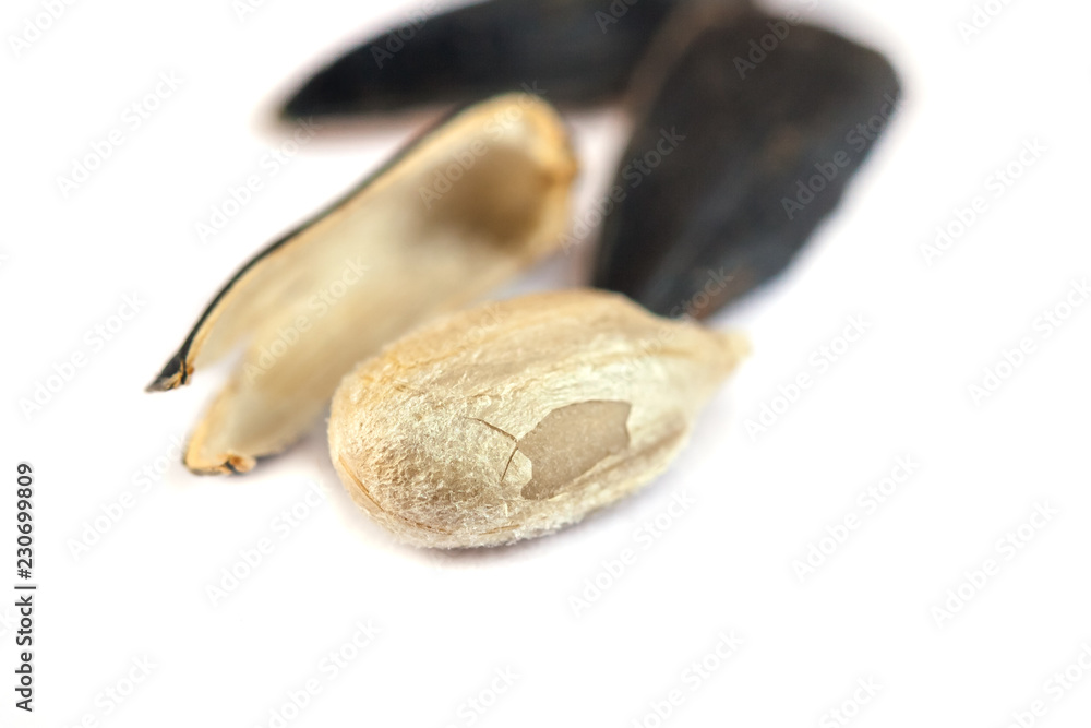 Sunflower seed open on white background, close up