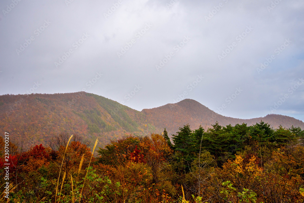 秋の泉ケ岳