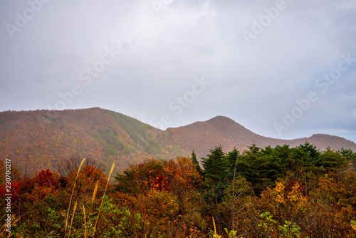 秋の泉ケ岳